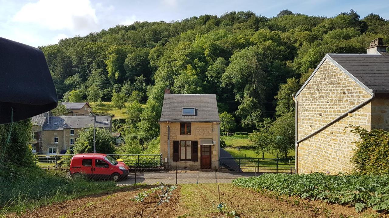 Le Chant Des Hiboux * Haraucourt (Ardennes)
