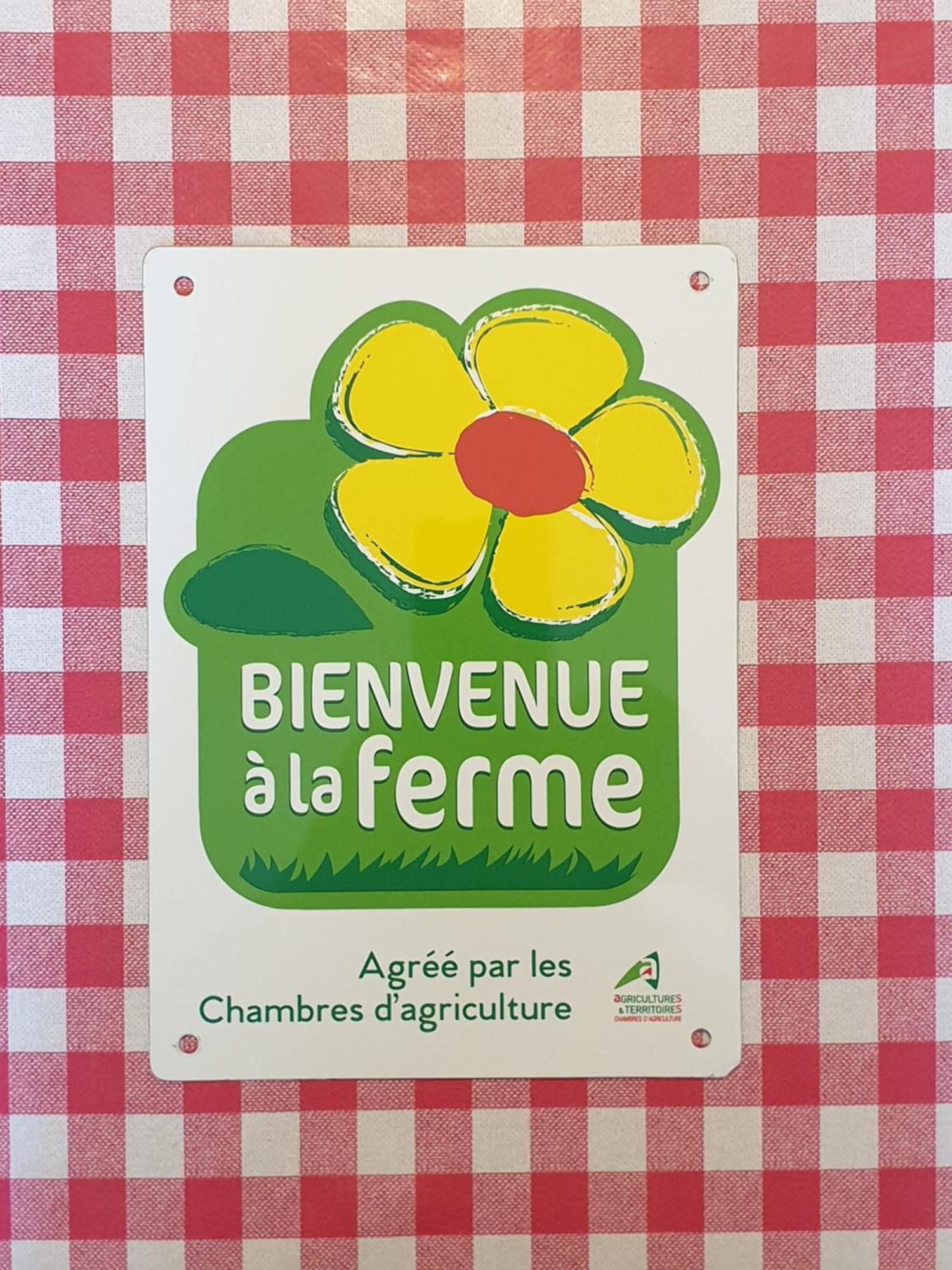 Le Chant Des Hiboux *